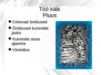 Lõputöö #6
