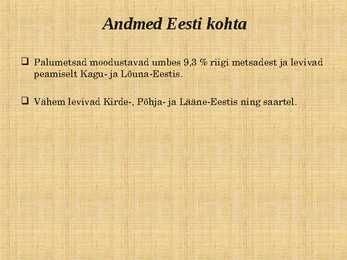 Ettekanne palumetsast #16