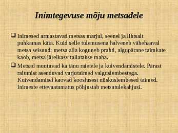Ettekanne palumetsast #18
