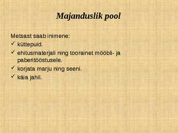 Ettekanne palumetsast #19