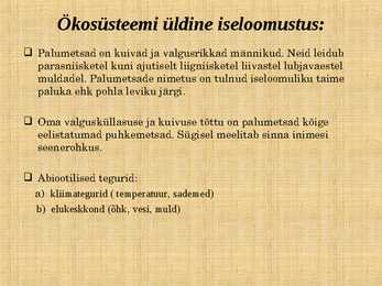 Ettekanne palumetsast #3