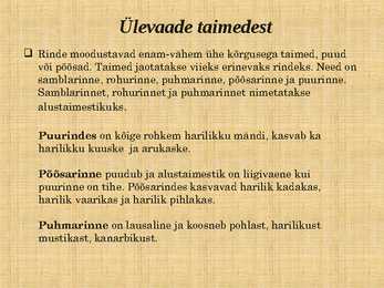 Ettekanne palumetsast #4