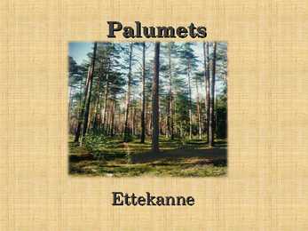 Ettekanne palumetsast