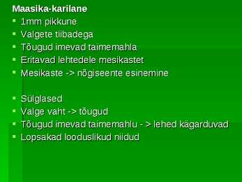Maasikas #11