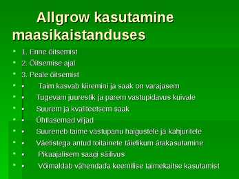 Maasikas #16