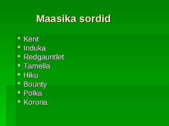 Maasikas #17