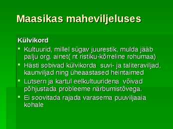 Maasikas #3
