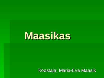 Maasikas