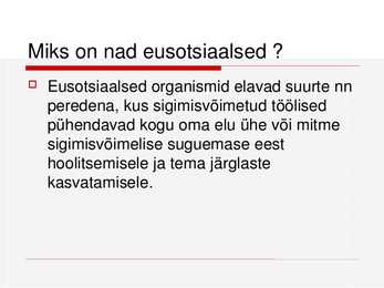 Abistamine-koostöö-ühiselu #10