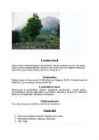 Prantsusmaa #4
