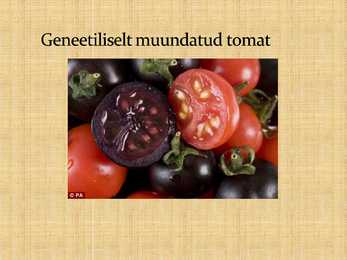 Slaidishow geenmutatsioontaimedest #2
