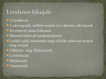 Eesti metsadest #3