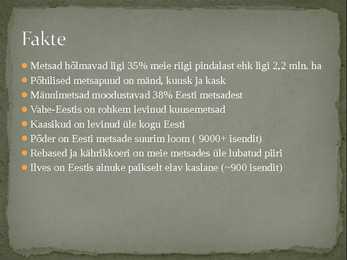 Eesti metsadest #5