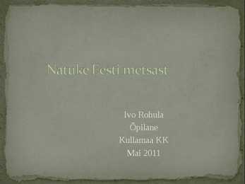 Eesti metsadest