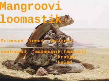Mangroovid #8