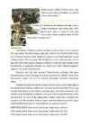 Referaat-Henri Marie Raymond de Toulouse-Lautrec-Monfa #11