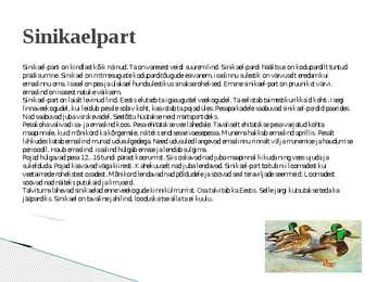 Selgroogsed loomad ja nende iseloomustused #3