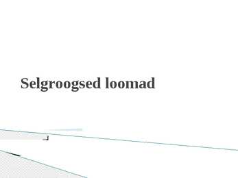 Selgroogsed loomad ja nende iseloomustused