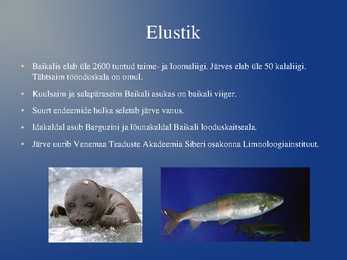 Baikali järv esitlus #10