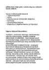 Egiptus-Mesopotaamia - Kordamisküsimused #6