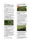 Prehistoric Britain