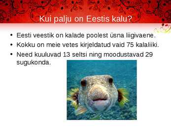 Kala meie toidulaual #13