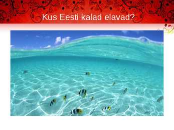 Kala meie toidulaual #14