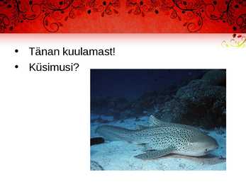 Kala meie toidulaual #18