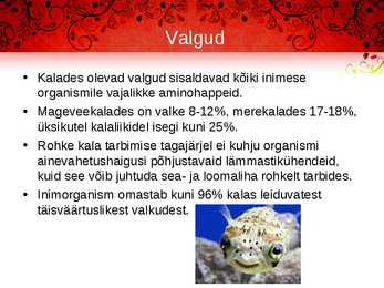Kala meie toidulaual #5
