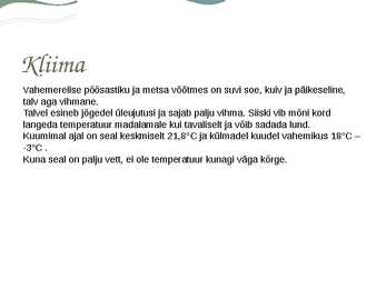 Vahemereline põõsastik ja mets #4