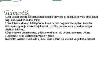 Vahemereline põõsastik ja mets #6