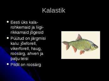 Ahja jõgi #4