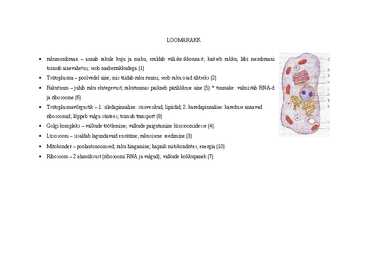 Eluslooduse portfoolio #2
