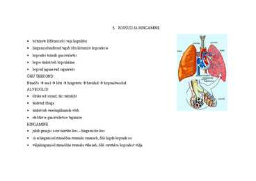 Eluslooduse portfoolio #35