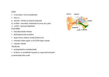Eluslooduse portfoolio #39