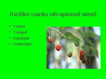 Vaarikas #2