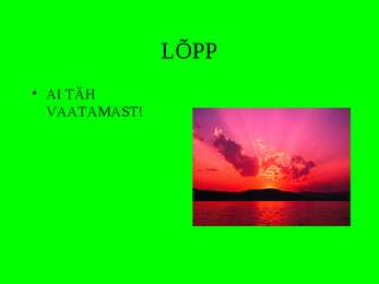 Vaarikas #11