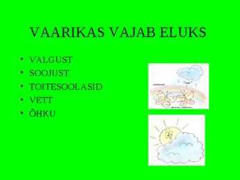 Vaarikas #3
