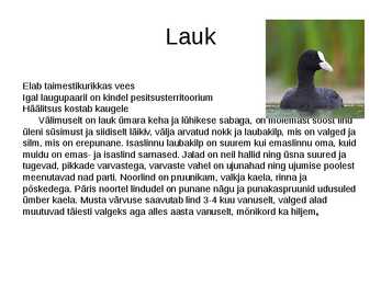 Läänemeri #18
