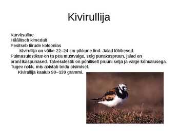 Läänemeri #19