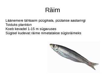 Läänemeri #25