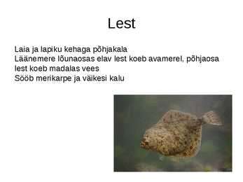 Läänemeri #28