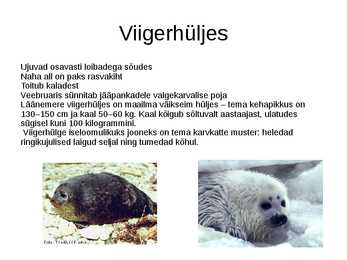 Läänemeri #31
