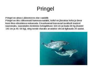 Läänemeri #33