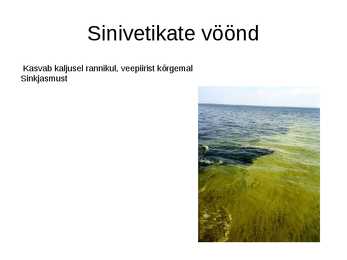 Läänemeri #8