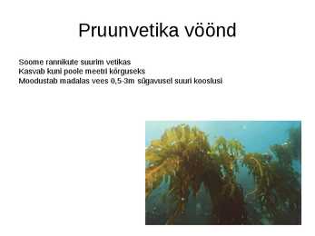 Läänemeri #10