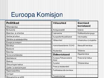 Euroopa Liidu institutsioonid #21