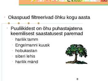 Haljasalad #8