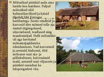 Mõis ja talu #14