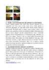 Aramiidid #5